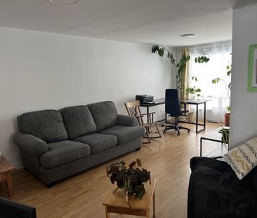 Grand Appartement 3 1/2 Tout Inclus - Photo 3