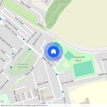 Wilson Terrace, Silksworth Sunderland