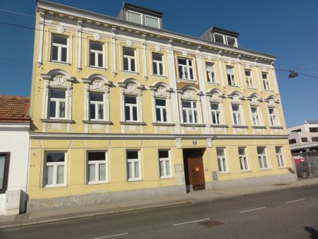 SONNIGE DACHWOHNUNG - TERRASSE - GARTENMITBENÜTZUNG - U6 SIEBENHIRTEN - UNBEFRISTET - Foto 4