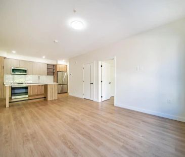 Mission Flats — B-Iris - Photo 3