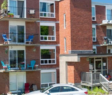 53 Somerset Street - Photo 6