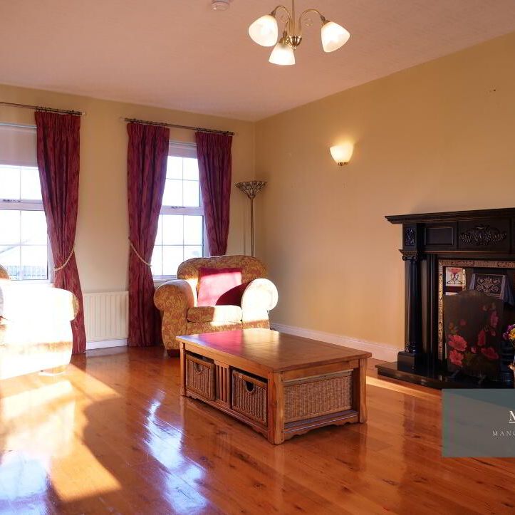 32 Springfields, Bandbridge, BT32 3LT - Photo 1
