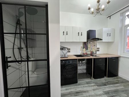 Studio Flat, Victoria Park, M14 - Photo 2