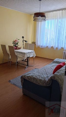 MIESZKANIE na WYNAJEM SZCZECIN (439587) - Photo 2