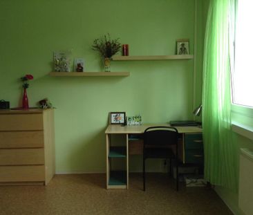 Wohnung ab 15.12. zu vermieten - Photo 1