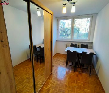 DOLNOŚLĄSKIE, Legnica - Zdjęcie 6