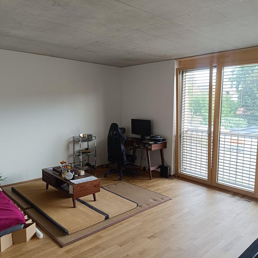 Möbliertes Studio (Neubau) befristet zu vermieten - Foto 1