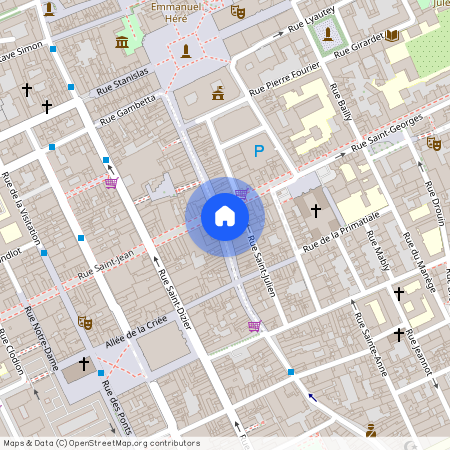 5 RUE DU PONT MOUJA, Charles Iii Nord Tiercelins St-Georges, Nancy