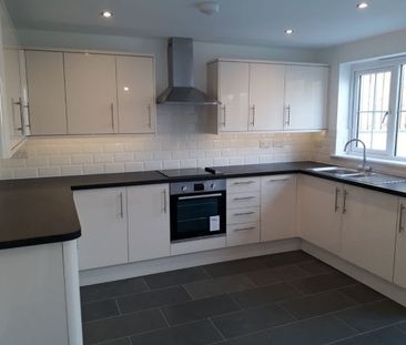 LIFTONDOWN, Lifton, PL16 - Photo 4