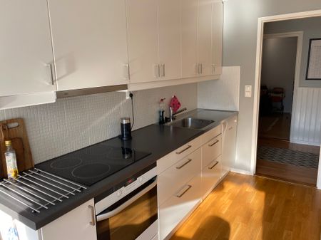 Växthusvägen, Ekerö - Foto 4