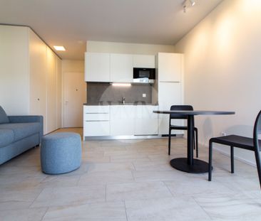 MODERN FURNISHED MONO-APARTMENT IN VIGANELLO - Photo 5