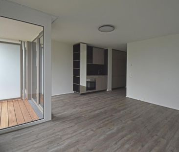 Conger 4.201 - Photo 4