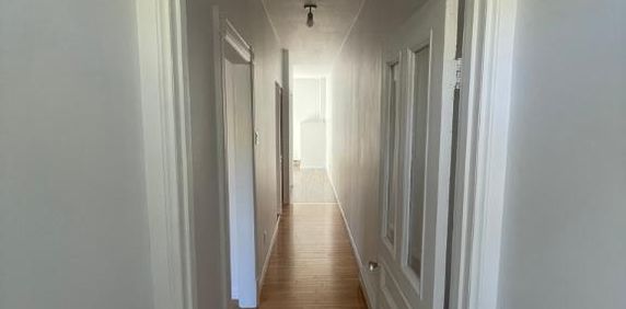 🏡 3 1/2 double lumineux à louer – Plateau Mont-Royal - Photo 2
