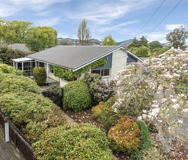 A/10 Greenpark St, Hoon Hay - Photo 3