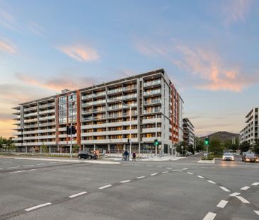 Braddon, Canberra - Photo 6