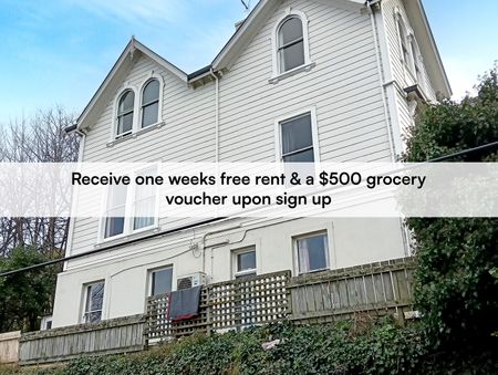 4 Bedroom flat available for 2026 - Photo 4