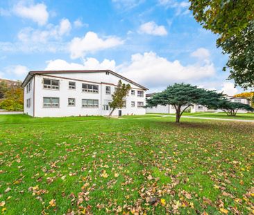 For Lease - 1031 Churchill Avenue Unit# 3, Oakville, Ontario - Photo 3