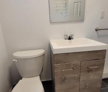 3.5 à côté du Marché-Jean-Talon DUPLEX ULTRA RÉNOVÉ - Photo 4