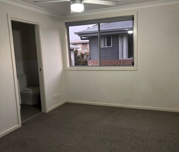 Shortland - Photo 6