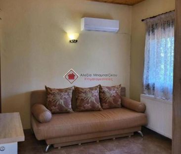 Μονοκατοικία για ενοικίαση Άνω Λεύκη (Καβάλα) - Φωτογραφία 3