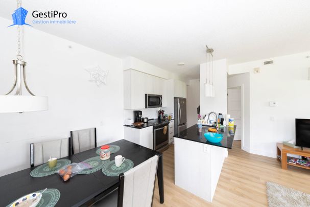 1213 av Charles-Huot – Le Charles-Huot - Photo 1