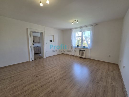 Pronájem bytu 1+1 40 m² - Fotografie 1