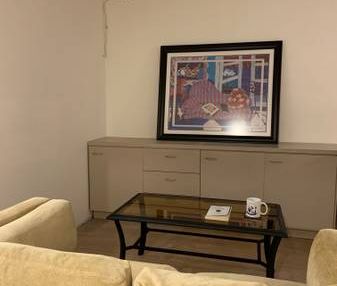 Very Large, Newly Renovated, Furnished Basement Apartment - Photo 3