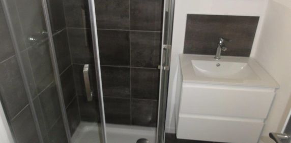 Location Appartement 1 pièce Meublé 31m² LE CREUSOT 71200 - Photo 2