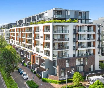 603/122 Ross Street, Glebe, NSW 2037 - Photo 5