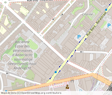 Rue des Vétérinaires, Anderlecht - Photo 1
