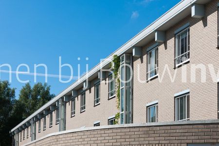 Rustig wonen, met alle voorzieningen in de buurt - Photo 3