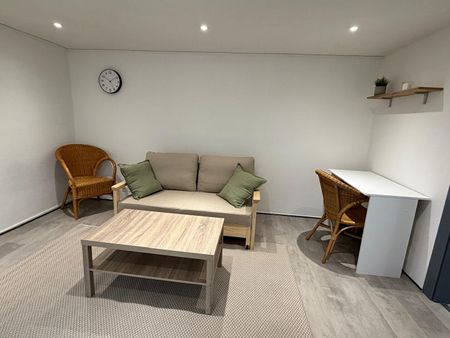 Appartement 1 pièce - Boucle de Besancon - Photo 4