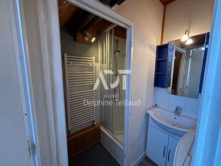 Location Appartement 1 pièce 27m² GRENOBLE 38000 - Photo 5
