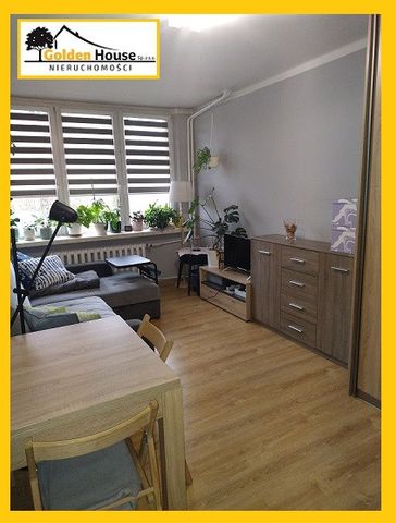 Sosnowiec, Pogoń, Szpaków - Zdjęcie 3