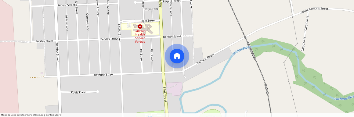 119 Ferry Street, NSW 2871, Forbes