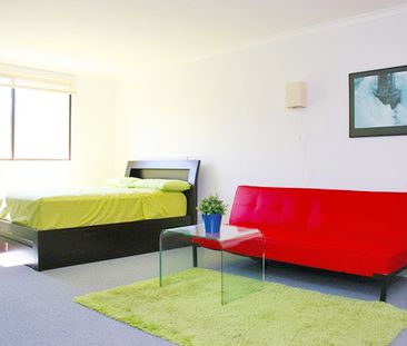 203/48 Sydney Road, Manly NSW 2095 - Studio For Rent | Domain - Photo 6