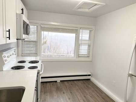 For Lease - 4711 RIVER Road Unit# Unit 4, Niagara Falls, Ontario - Photo 2