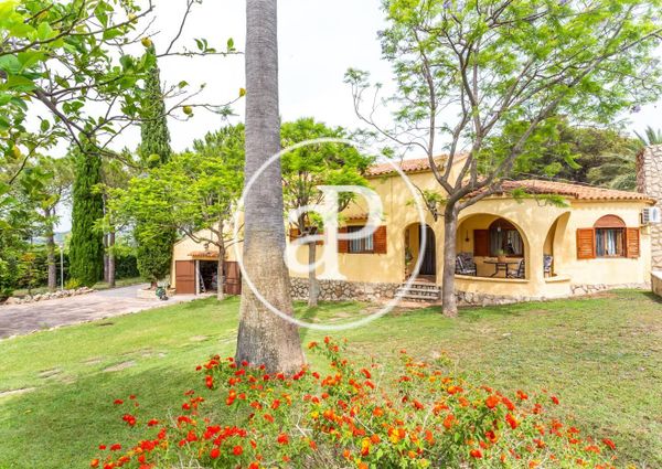 House for rent with Terrace in Turis