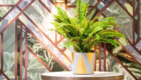 Deluxe Studios - Photo 3