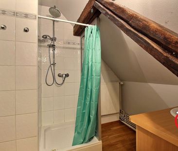 Location Appartement 1 pièce 20m² VILLE 67220 - Photo 4