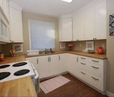 Three bedroom one bathroom house for rent - Photo 2