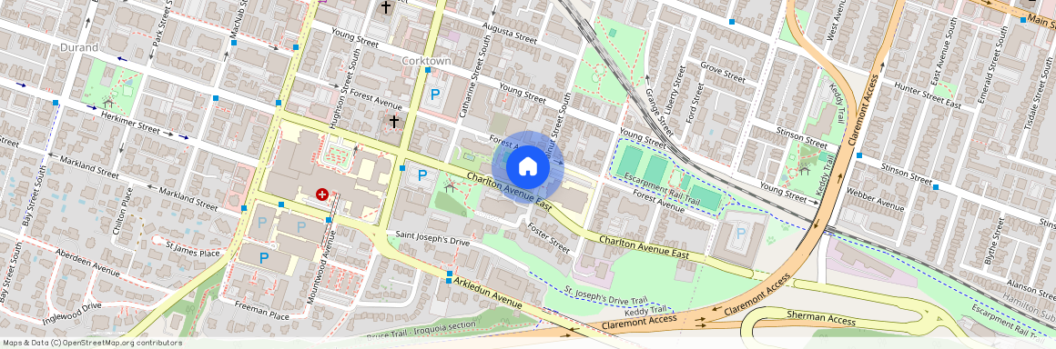 196 Walnut Street Unit# Basement, Hamilton