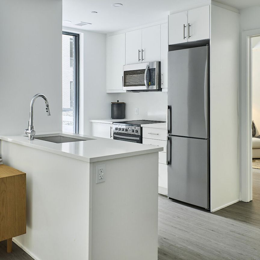 383 Albert Street, Centretown, Ottawa, ON - Photo 1