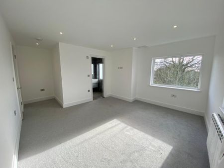 3 bedroom house to rent - Photo 4