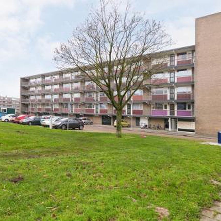 Johan van de Veldestraat 5213 GT 's-Hertogenbosch - Photo 1