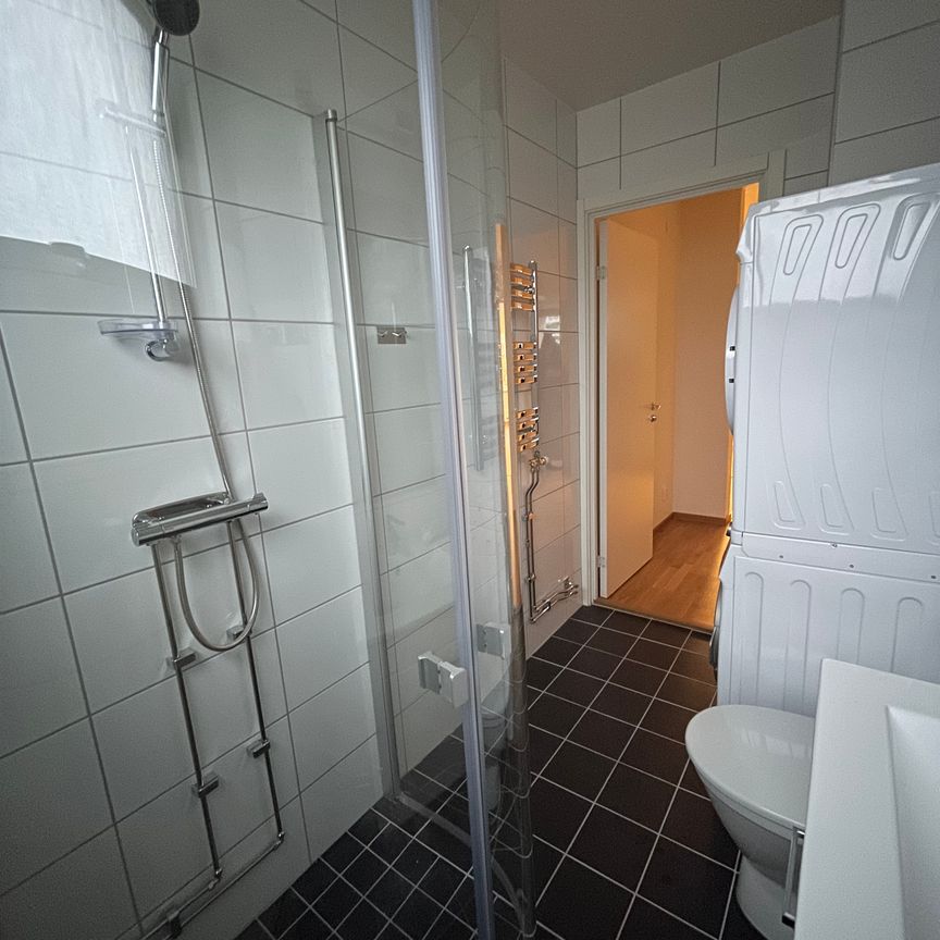 Ollenicklas väg, Vänersborg - Foto 1