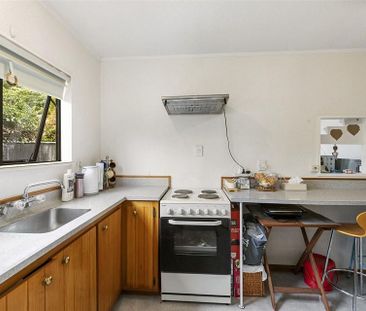 Charming 2BR Home in Boulcott with separate studio - Photo 6