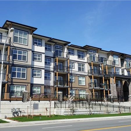 Brydon Court Apartments - Photo 4