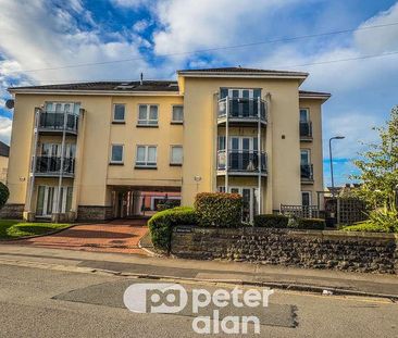 Bishops Road, Whitchurch, Cardiff, CF14 - Photo 6