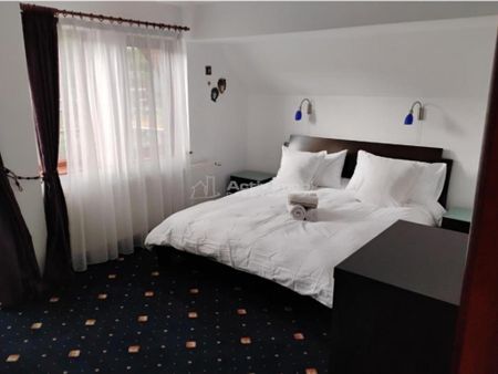 Casa/Vila-Afacere Turism-Drumul Poienii - Fotografie 4